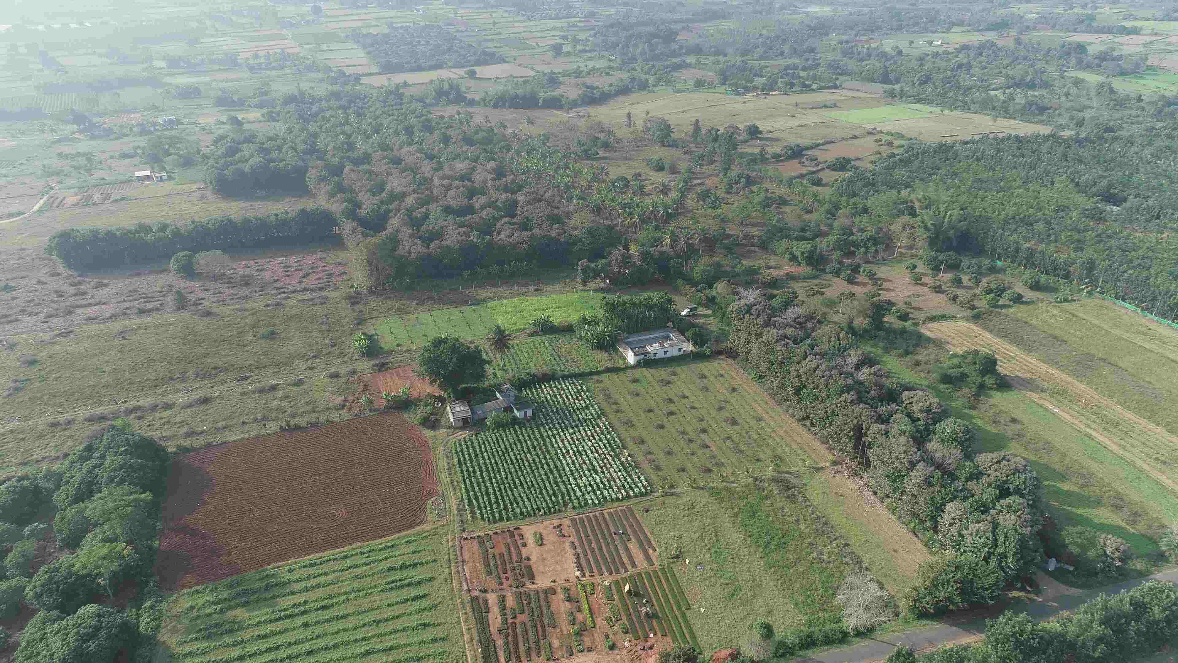 Vasudha Farms