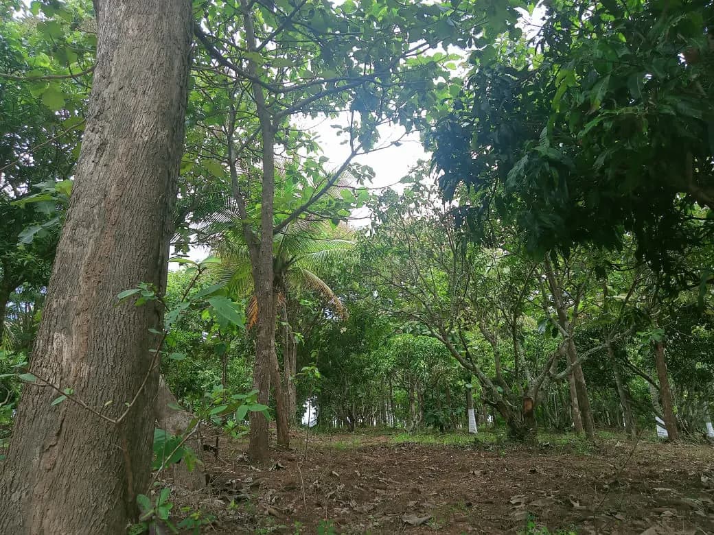 Is Farmland a Good Investment in India? A Honest, Data-Backed Answer for 2026
