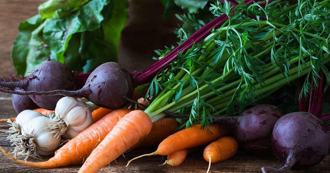 Grow Organic Food
